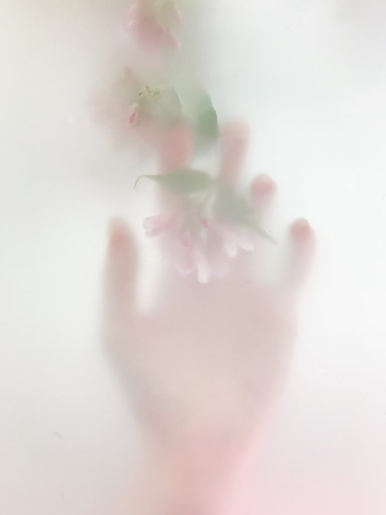 hand reaching the pink flowers
